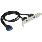 DeLOCK 84836 scheda di interfaccia e adattatore Interno USB 3.2 Gen 1 (3.1 Gen 1), Staffa slot USB 3.2 Gen 1 (3.1 Gen 1), Nero, Blu, Argento, 5 Gbit/s, Sacchetto di politene