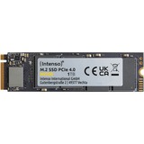 Intenso MI500 1 TB, Disco a stato solido 
