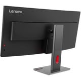 Lenovo ThinkVision P40WD-40, Monitor LED Nero