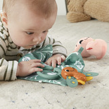 Mattel HRB17 giocattolo educativo, Anello di dentizione 0 anno/i, Plastica, Multicolore