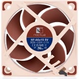 Noctua NF-A6x15 5V, Ventola 