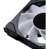 Phanteks PH-F120M25R_G2_DBK01_3P, Ventola blu-nero