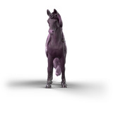 Schleich 70841, Gioco figura 