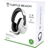 Turtle Beach Stealth 600 Bianco Xbox Cuffie da Gioco Wireless con 80 ora Batteria, Altoparlanti da 50mm e Bluetooth per Xbox Series X o S, Xbox One e PC, Cuffia da gioco bianco, Altoparlanti da 50mm e Bluetooth per Xbox Series X o S, Xbox One e PC, Wireless, 20 - 20000 Hz, Gaming, 320 g, Auricolare, Bianco
