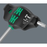 Wera Set 467/7 esagonale HF 2 cacciaviti a manico trasversale + supporto, 7 pezzi, Cacciavite Nero/Verde
