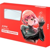 ADATA AX5U6400C3232G-DCLAWH, Memoria bianco