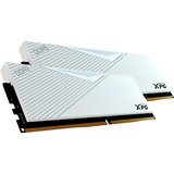 ADATA LANCER memoria 64 GB 2 x 32 GB DDR5 288-pin DIMM bianco, 64 GB, 2 x 32 GB, DDR5, 6400 MHz, 288-pin DIMM