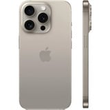 Apple 4-00-10065 titanio