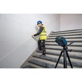 Bosch Laser a linee GLL 80-33 G Professional, Linea laser blu/Nero