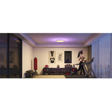 Govee Lampada da Soffitto Intelligente Rotonda 30cm RGBWW + RGBIC, Luce LED 