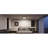 Govee Lampada da Soffitto Intelligente Rotonda 30cm RGBWW + RGBIC, Luce LED 