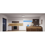 Govee Lampada da Soffitto Intelligente Rotonda 30cm RGBWW + RGBIC, Luce LED 