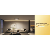 Govee Lampada da Soffitto Intelligente Rotonda 30cm RGBWW + RGBIC, Luce LED 