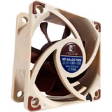 Noctua NF-A6x25 PWM Case per computer Ventilatore 6 cm Beige, Marrone Ventilatore, 6 cm, 550 Giri/min, 3000 Giri/min, 19,3 dB, 29,2 m³/h