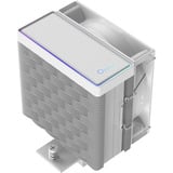Ocypus Gamma A40 ARGB, raffreddamento CPU  Nero