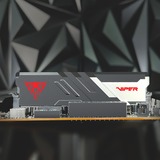 Patriot PVV532G620C40K, Memoria Nero