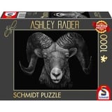 Schmidt Spiele Ashley Rader: Dominanza - Ariete, Sotto il Segno del Fuoco, Puzzle 