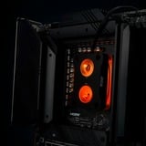 Thermal Grizzly TG-MY-DD-P-RGB-i-V1, Dissipatore di calore Nero/trasparente