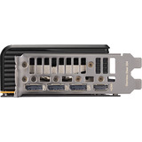 ZOTAC GeForce RTX 5060 AMP 8GB, Scheda grafica 