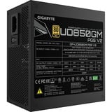GIGABYTE GP-UD850GM PG5 V2, Alimentatore PC Nero