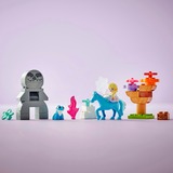 LEGO 10418, Giochi di costruzione 