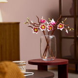 LEGO Botanicals Rami di magnolia, Giochi di costruzione Vendita al dettaglio