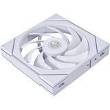 Lian Li 14TL1W, Ventola bianco