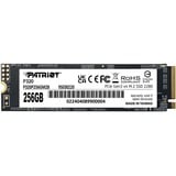 Patriot P320P256GM28, Disco a stato solido 