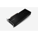 SAPPHIRE 32358-01-20G, Scheda grafica Nero