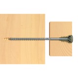 fischer Vite di regolazione FAFS 5,0 x 80 TX25 