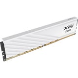 ADATA AX5U6000C3616G-DTLABWH, Memoria bianco