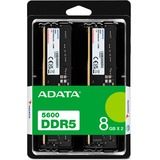 ADATA DDR5 5600 U-DIMM memoria 8 GB 2 x 4 GB Nero, 8 GB, 2 x 4 GB, DDR5, 5600 MHz, 288-pin DIMM