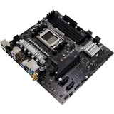 Biostar A620MP-E PRO, Scheda madre Nero