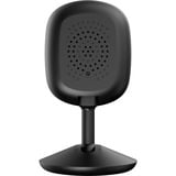 D-Link DCS-6100LHV2/E, Telecamera di rete Nero