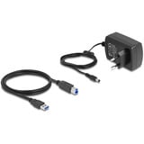 DeLOCK Docking station doppia per 2 x SATA HDD / SSD Nero
