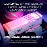 Kingston FURY KF556C40BWA-16, Memoria bianco