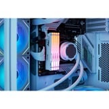 Kingston FURY KF556C40BWA-16, Memoria bianco