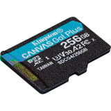 Kingston SDCG4/256GBSP Nero