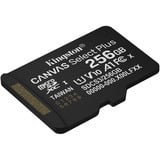 Kingston SDCS3/256GBSP, Scheda di memoria Nero