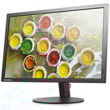 Lenovo THINKVISION T2454PA (senza base) ricondizionato, Monitor LED Nero