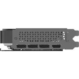 PNY GeForce RTX 5070 Slim OC, Scheda grafica 