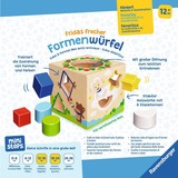 Ravensburger 04581, Gioco di abilità 