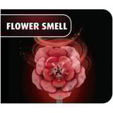 Revell Dream of Roses fiori di legno, Decorazione legno, Vendita al dettaglio