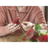 Revell Dream of Roses fiori di legno, Decorazione legno, Vendita al dettaglio