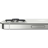 Apple 4-00-10020 argento