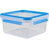 Emsa 3110600387, Casella trasparente/Blu
