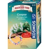 KOSMOS 658281, Casella di esperimento 