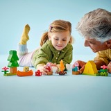 LEGO 10452 