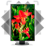 NEC G207694-001A3, Monitor LED Nero