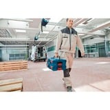Bosch 1 600 A01 6NC scatola di conservazione Armadietto portaoggetti Rettangolare Acrilonitrile butadiene stirene (ABS) Blu, Cassetta portautensili blu, Armadietto portaoggetti, Blu, Rettangolare, Acrilonitrile butadiene stirene (ABS), Monocromatico, 442 mm